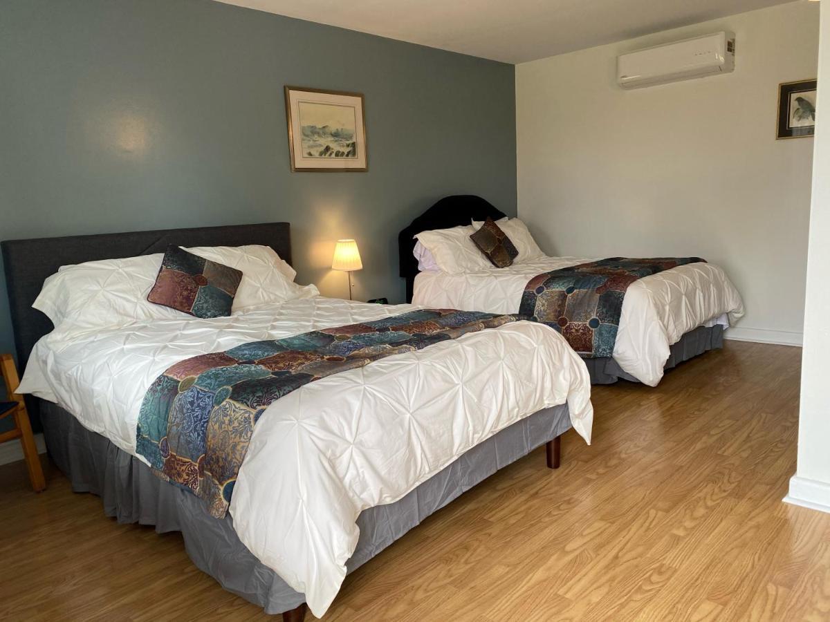 Webbers Lake Charlotte Motel Queen And Double Bed Exterior photo
